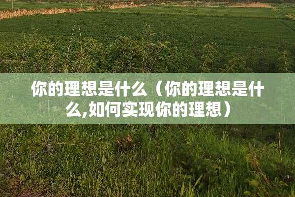 你的理想是什么（你的理想是什么,如何实现你的理想）