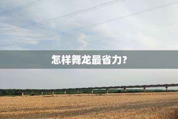 怎样舞龙最省力？
