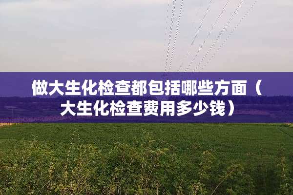 做大生化检查都包括哪些方面（大生化检查费用多少钱）