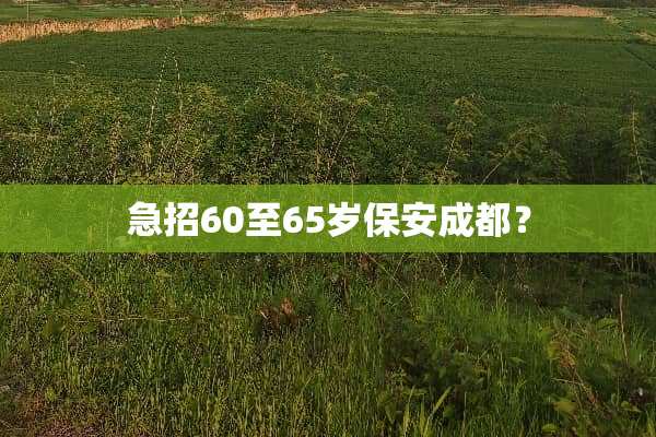 急招60至65岁保安成都？