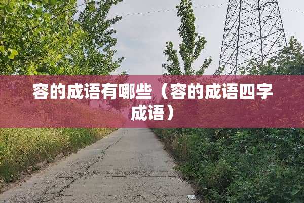 容的成语有哪些（容的成语四字成语）
