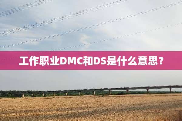 工作职业DMC和DS是什么意思？