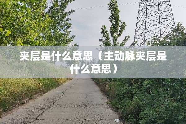 夹层是什么意思（主动脉夹层是什么意思）