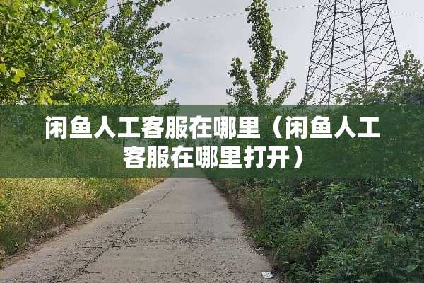 闲鱼人工客服在哪里（闲鱼人工客服在哪里打开）