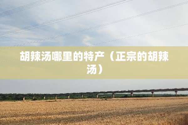 胡辣汤哪里的特产（正宗的胡辣汤）