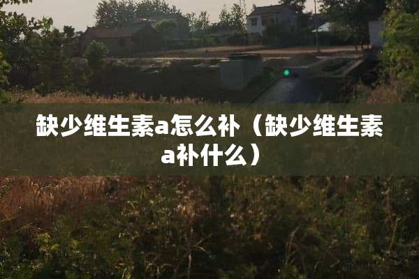 缺少维生素a怎么补（缺少维生素a补什么）