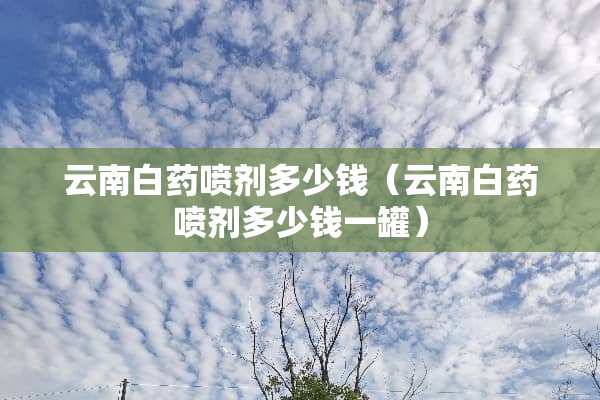 云南白药**多少钱（云南白药**多少钱一罐）