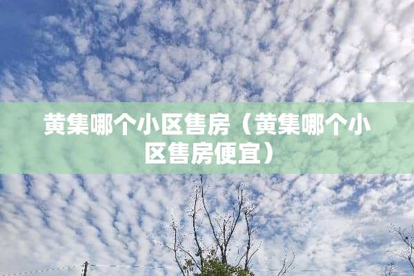 黄集哪个小区售房（黄集哪个小区售房便宜）
