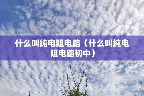 什么叫纯电阻电路（什么叫纯电阻电路初中）