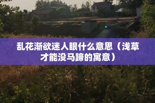 乱花渐欲迷人眼什么意思（浅草才能没马蹄的寓意）