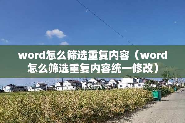 word怎么筛选重复内容（word怎么筛选重复内容统一修改）