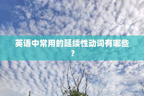 英语中常用的延续性动词有哪些？