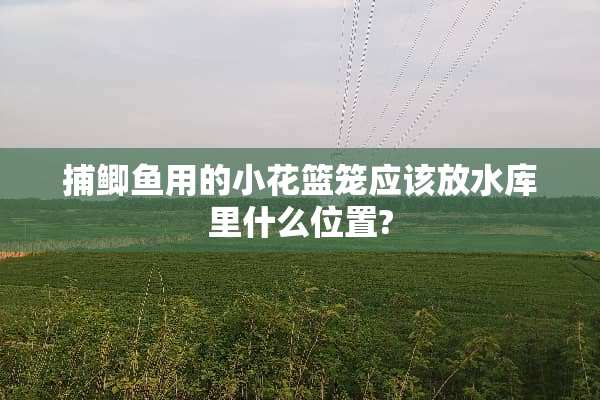 捕鲫鱼用的小花篮笼应该放水库里什么位置?