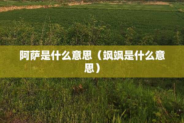 阿萨是什么意思（飒飒是什么意思）