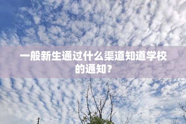 一般新生通过什么渠道知道学校的通知？