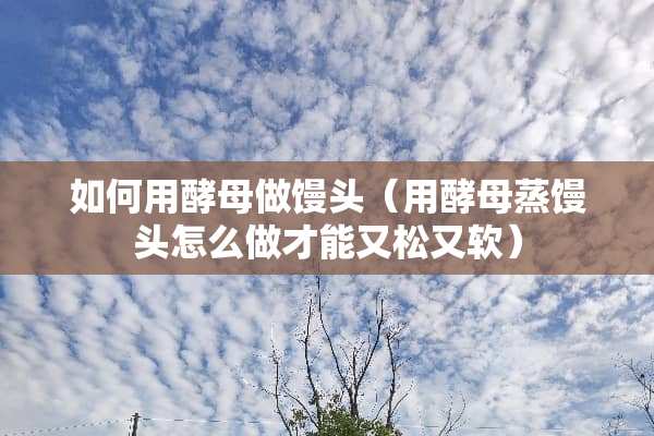 如何用酵母做馒头（用酵母蒸馒头怎么做才能又松又软）