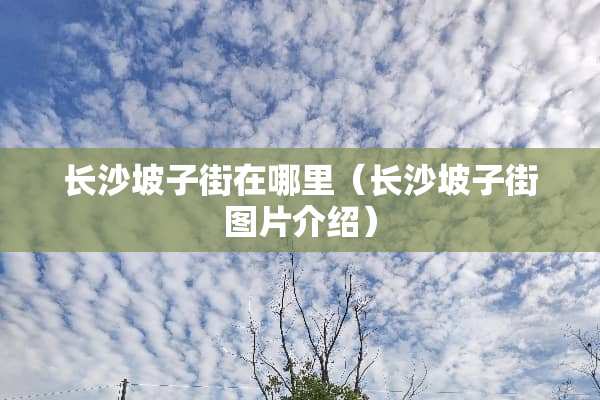 长沙坡子街在哪里（长沙坡子街图片介绍）