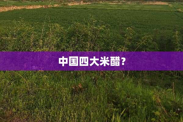 中国四大米醋？