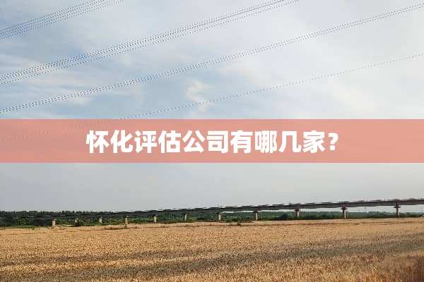 怀化评估公司有哪几家？