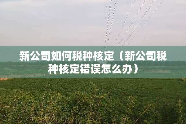 新公司如何税种核定（新公司税种核定错误怎么办）