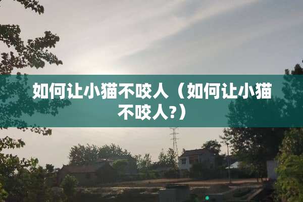 如何让小猫不咬人（如何让小猫不咬人?）