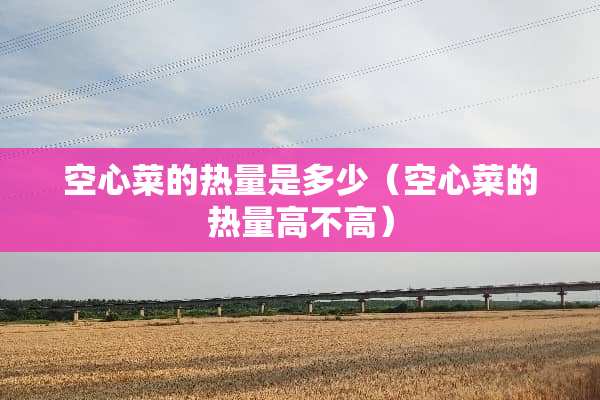 空心菜的热量是多少（空心菜的热量高不高）