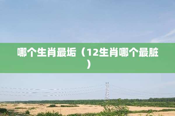 哪个生肖最垢（12生肖哪个最脏）