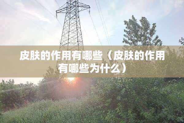 皮肤的作用有哪些（皮肤的作用有哪些为什么）