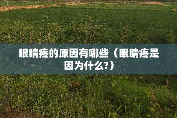 眼睛疼的原因有哪些（眼睛疼是因为什么?）