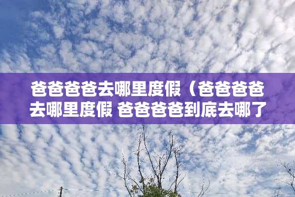 爸爸爸爸去哪里度假（爸爸爸爸去哪里度假 爸爸爸爸到底去哪了）