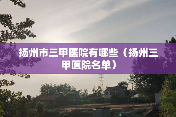 扬州市三甲医院有哪些（扬州三甲医院名单）