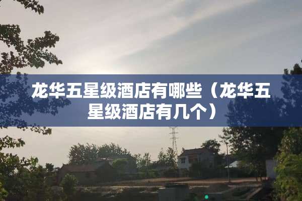 龙华五星级酒店有哪些（龙华五星级酒店有几个）
