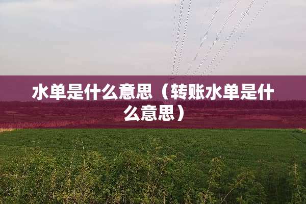 水单是什么意思（转账水单是什么意思）