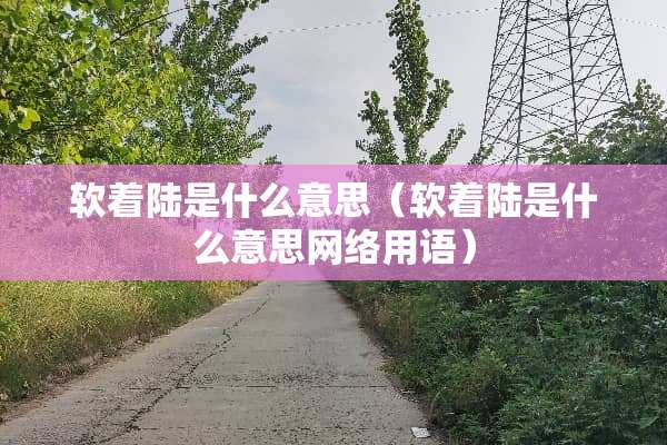 软着陆是什么意思（软着陆是什么意思网络用语）
