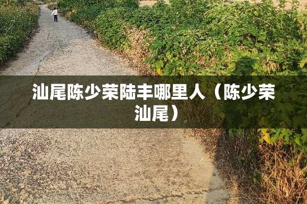 汕尾陈少荣陆丰哪里人（陈少荣 汕尾）
