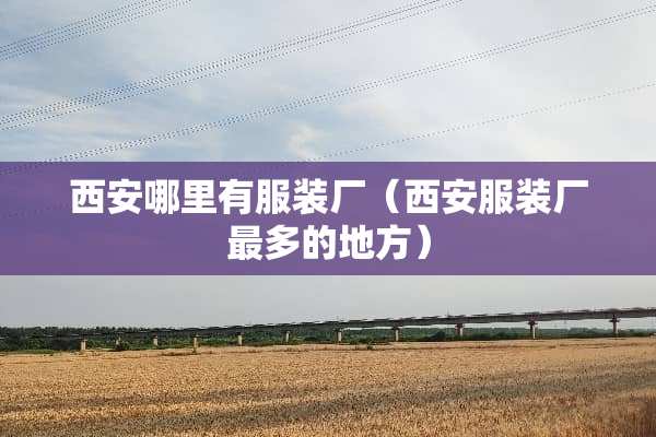 西安哪里有服装厂（西安服装厂最多的地方）