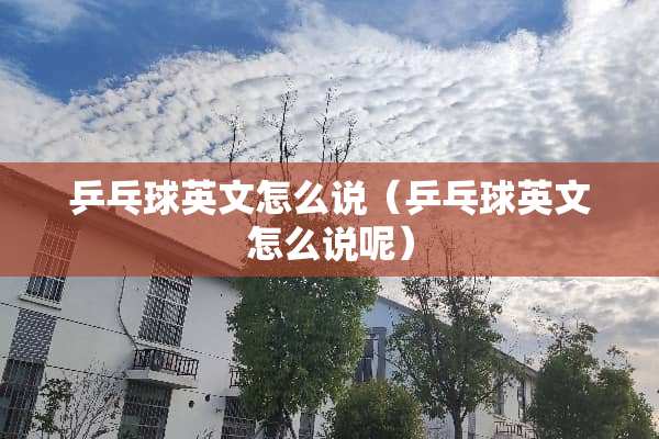 乒乓球英文怎么说（乒乓球英文怎么说呢）