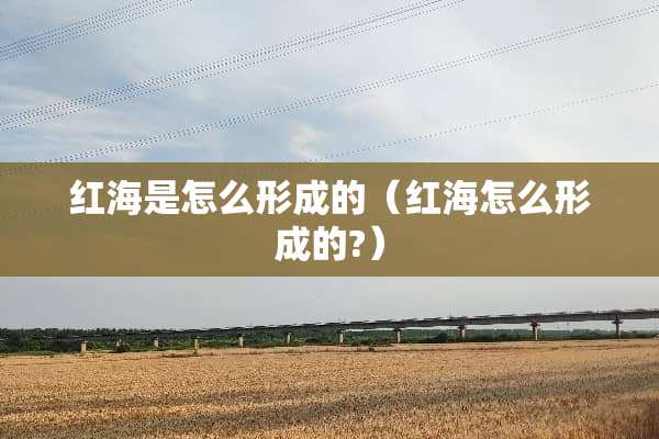 红海是怎么形成的（红海怎么形成的?）
