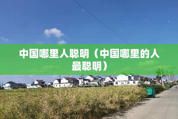 中国哪里人聪明（中国哪里的人最聪明）
