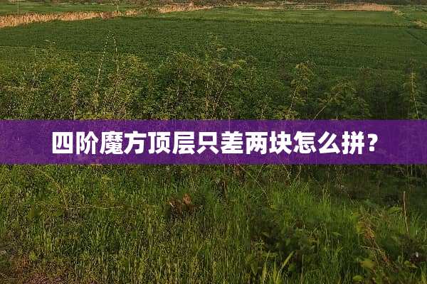 四阶魔方顶层只差两块怎么拼？