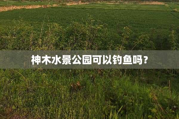 神木水景公园可以钓鱼吗？