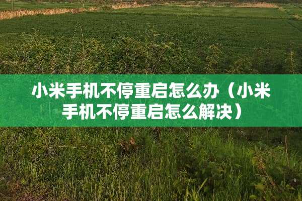 小米手机不停重启怎么办（小米手机不停重启怎么解决）