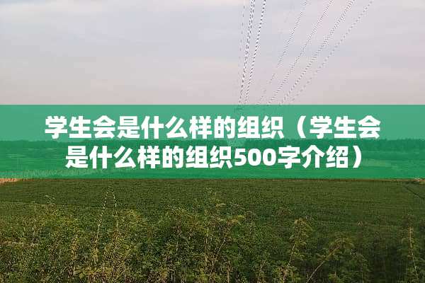 学生会是什么样的组织（学生会是什么样的组织500字介绍）