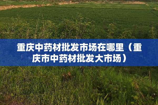重庆中药材批发市场在哪里（重庆市中药材批发大市场）