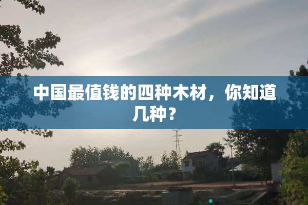 中国最值钱的四种木材，你知道几种？