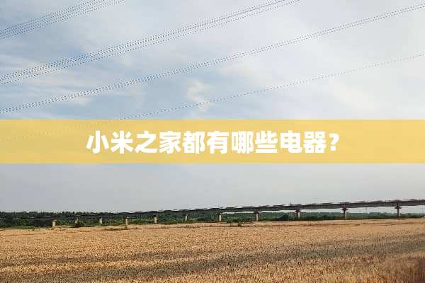 小米之家都有哪些电器？