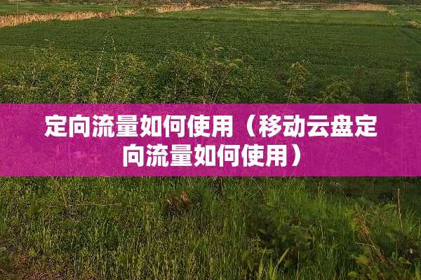 定向流量如何使用（移动云盘定向流量如何使用）