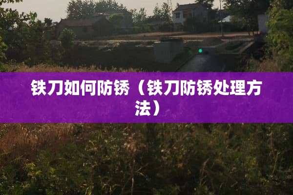 铁刀如何防锈（铁刀防锈处理方法）