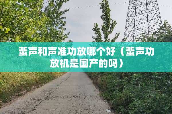 蜚声和声准功放哪个好（蜚声功放机是国产的吗）