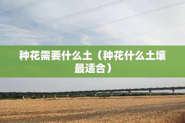 种花需要什么土（种花什么土壤最适合）